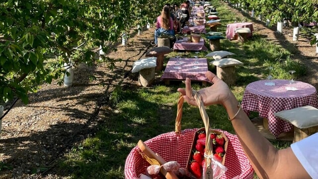 Nove idee per fare un picnic intorno a Milano